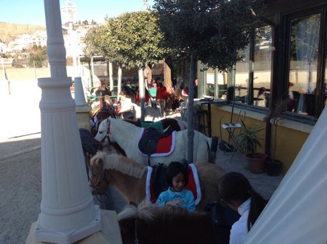 Ponis para el paseo.jpg
